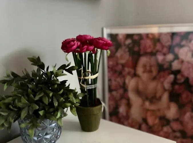 Tunja Апартаменты