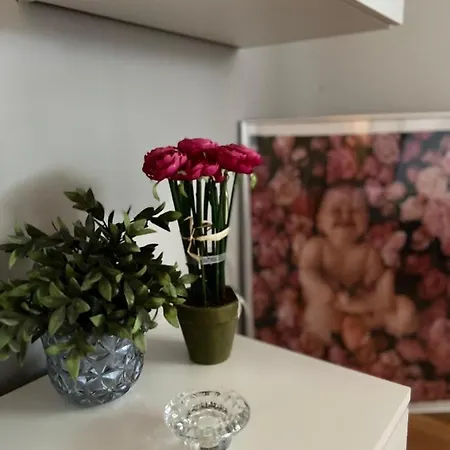Tunja Apartment